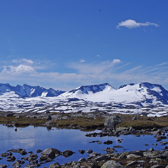 Fiskevann ved Krossbu